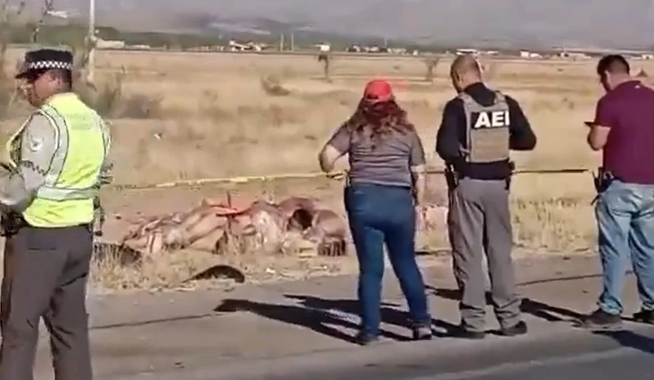 Horror en la Carretera: Hallan 9 Cuerpos con Signos de Tortura en Chihuahua