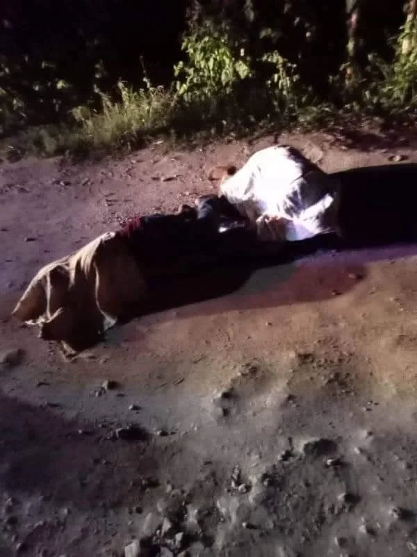 Horror en Tabasco: Encuentran dos cuerpos sin vida por balazos en carretera de Villa Hermosa a Río viejo