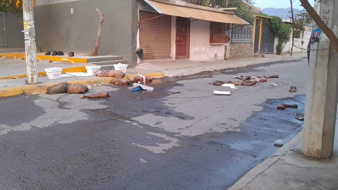 Cuatro cuerpos desmembrados y una urvan calcinada encontrados en Acapulco