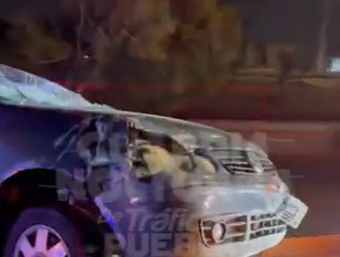 Conductor ebrio vuelca su auto en Periférico Ecológico de Puebla