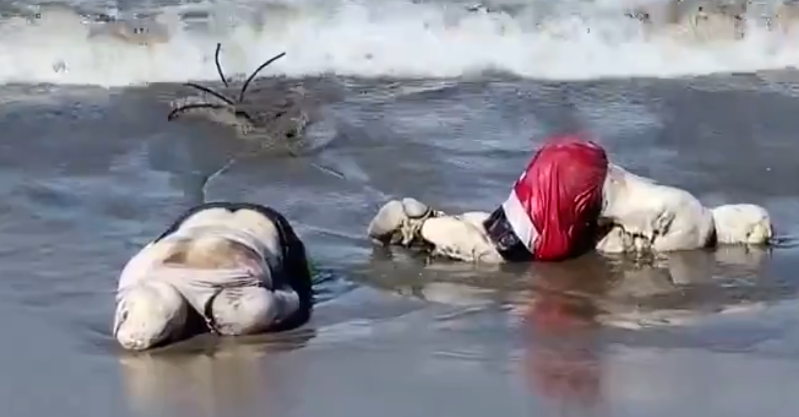 Encuentran dos cuerpos en playa de Acapulco Guerrero