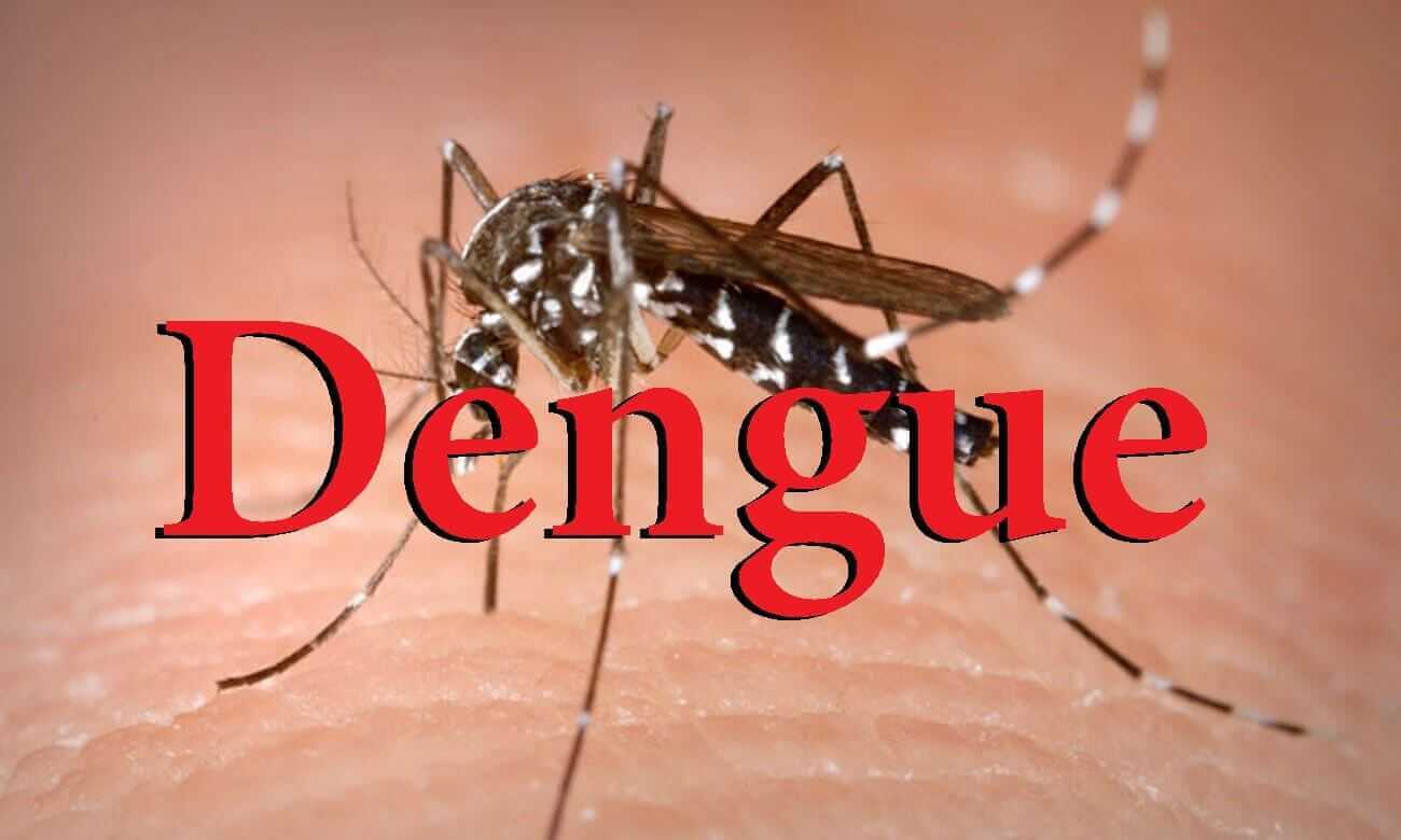 ¡Alerta por dengue en Morelos! IMSS-Bienestar intensifica medidas