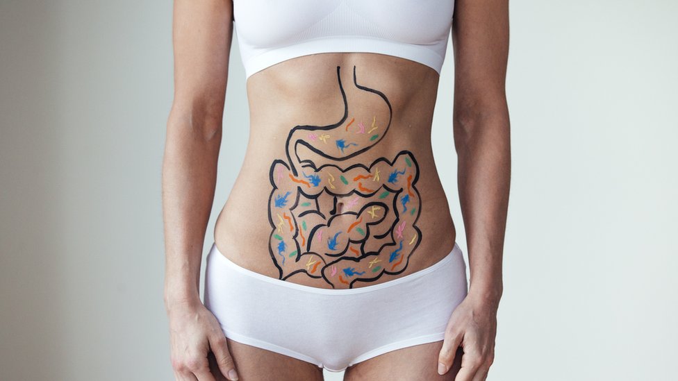 El intestino: ¿por qué lo llaman el “segundo cerebro”?