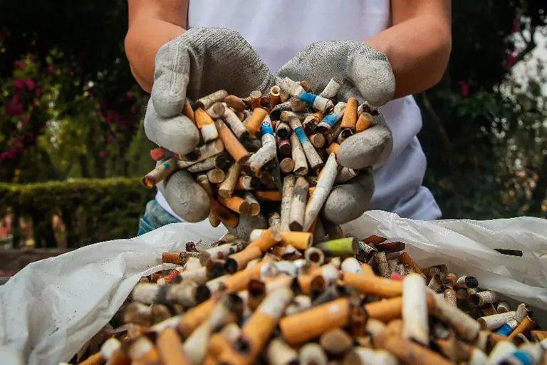 Colillas de cigarrillo: El pequeño desperdicio con gran impacto ambiental