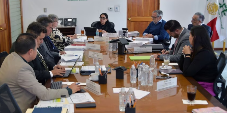 CFE aprueba nuevo Estatuto Orgánico para fortalecer su estructura y eficiencia
